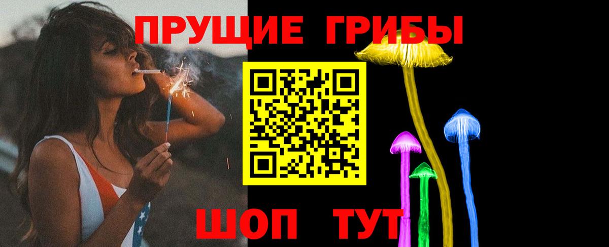 Псилоцибиновые грибы GOLDEN TEACHER Горно-Алтайск